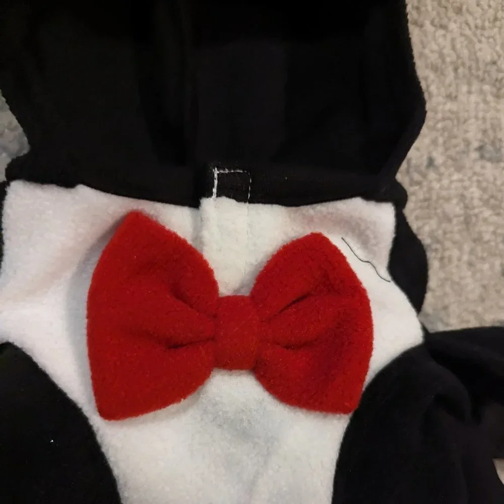 Miss Michelle Couture dog costumes